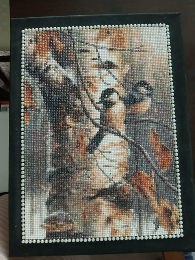 Chickadees on the Birch