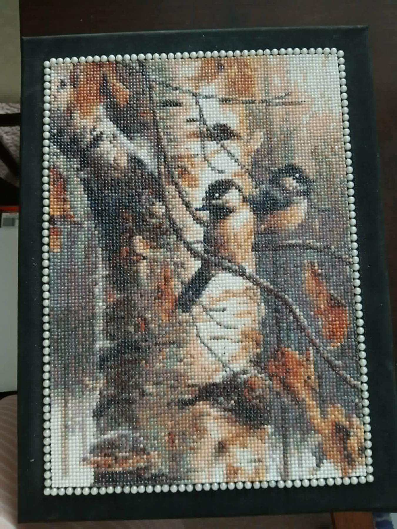 Chickadees on the Birch