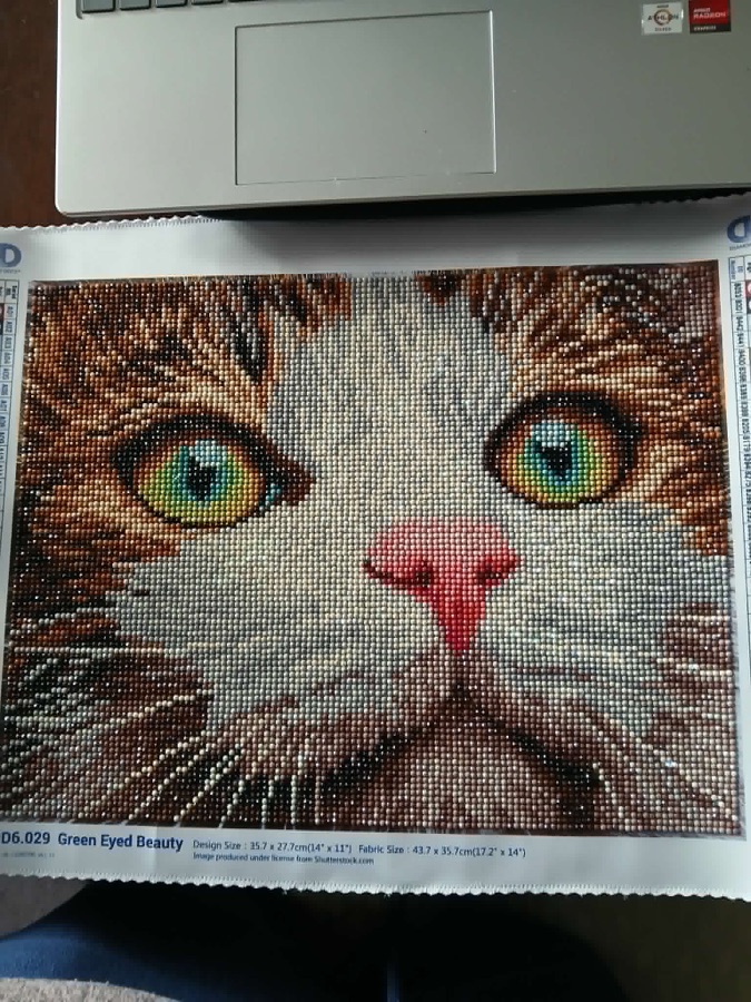 Green Eyed Beauty