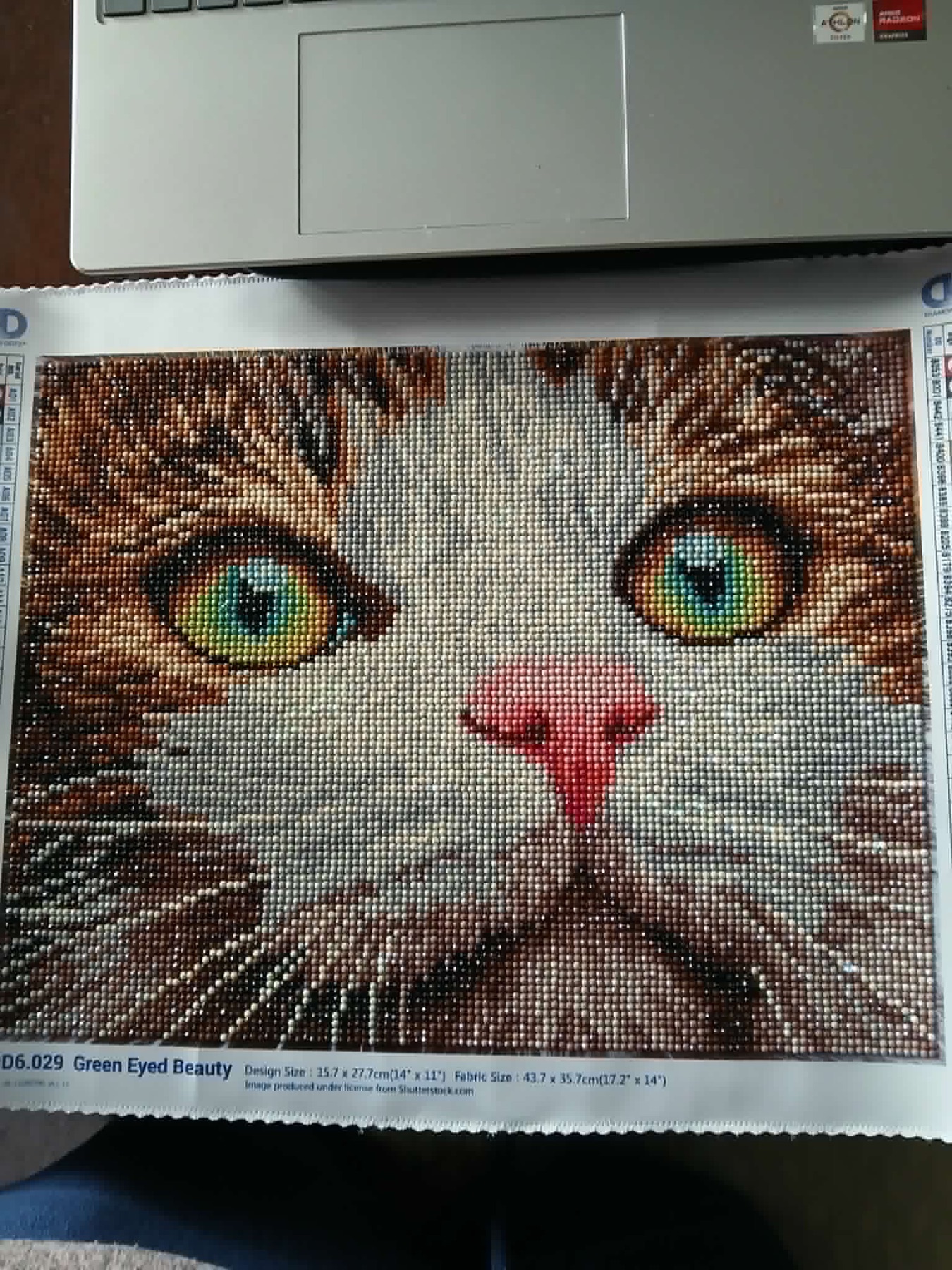 Green Eyed Beauty