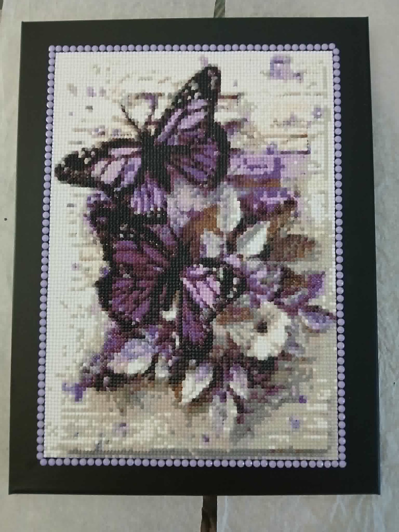 The Purple Butterfly